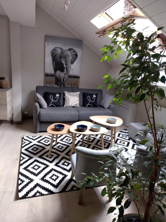 Le 3 De Coeur Annecy Apartman Kültér fotó