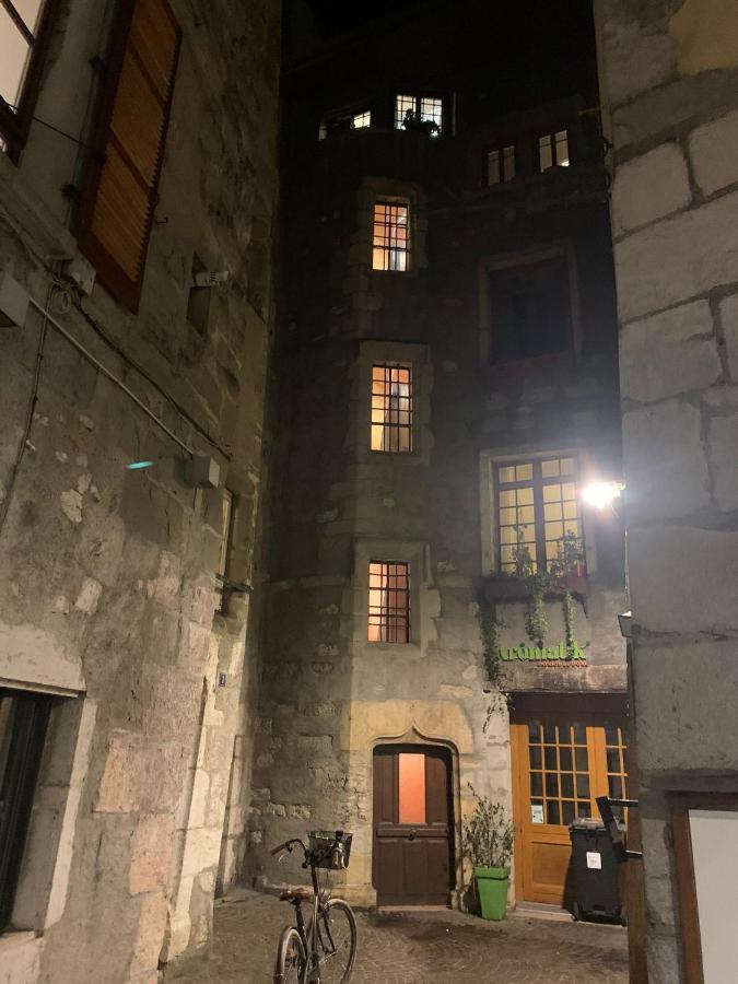 Le 3 De Coeur Annecy Apartman Kültér fotó