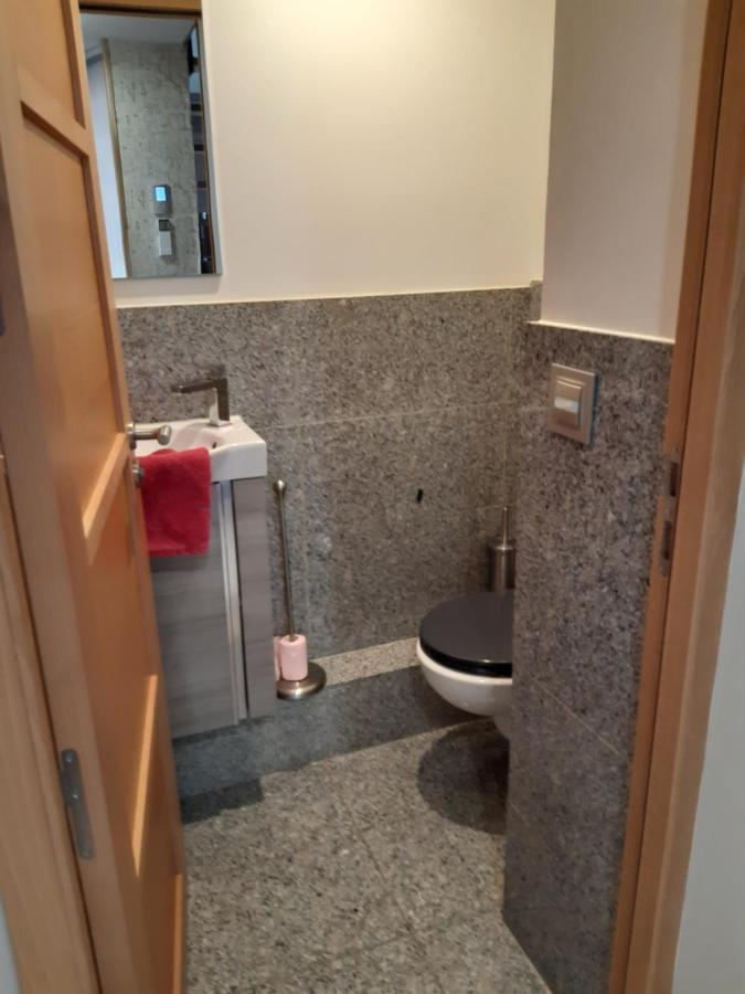 Le 3 De Coeur Annecy Apartman Kültér fotó